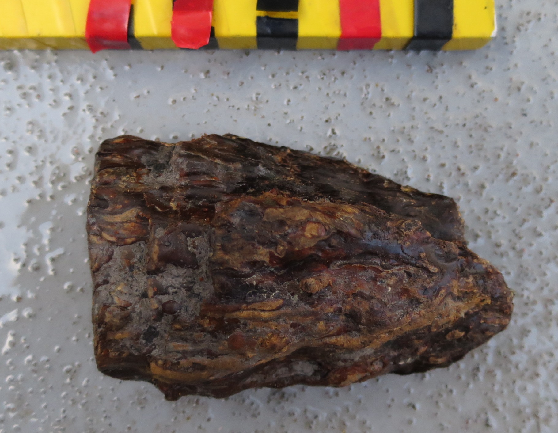 A lump of resin immediately after recovery from the wreck site.